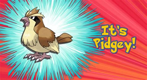 pidgey smogon|best nature for pidgey.